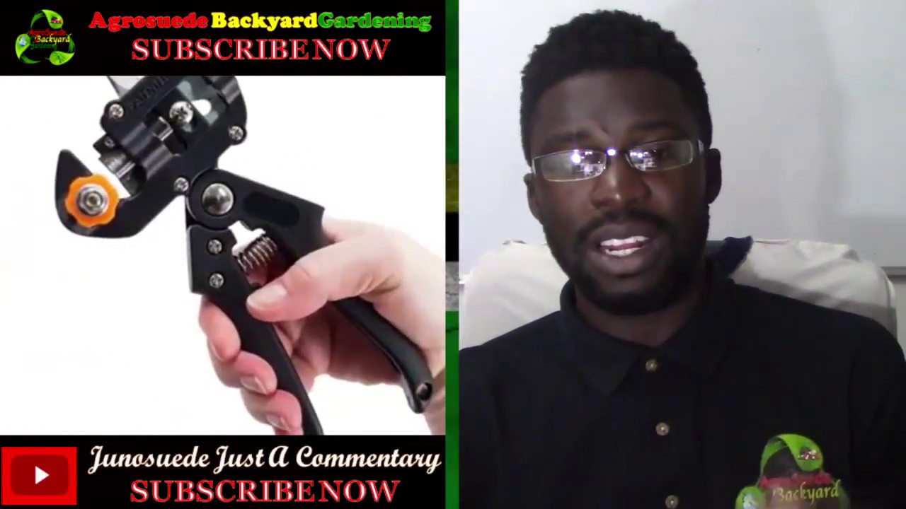 Innovative Grafting tool || Agrosuede ✔