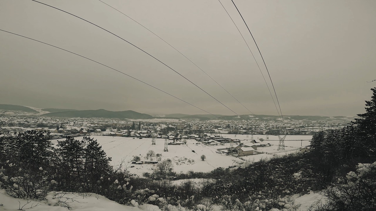 Winter Day