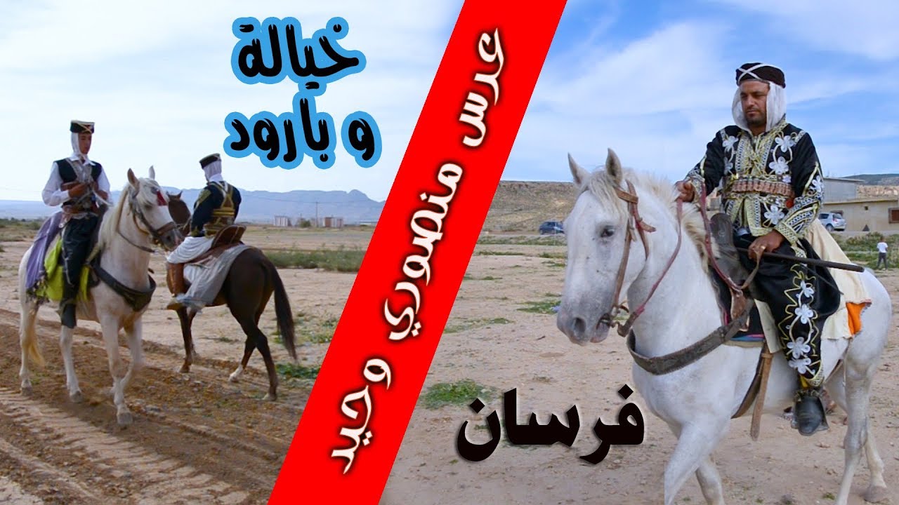 عرس وحيد منصوري - الطريشة - تبسة