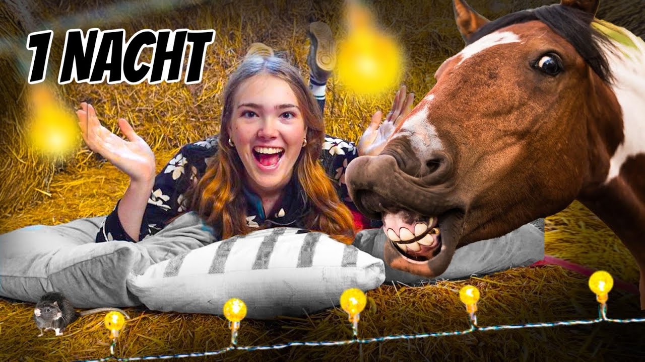 EINE NACHT IM PFERDESTALL 🐴 **HILFE**😳😂