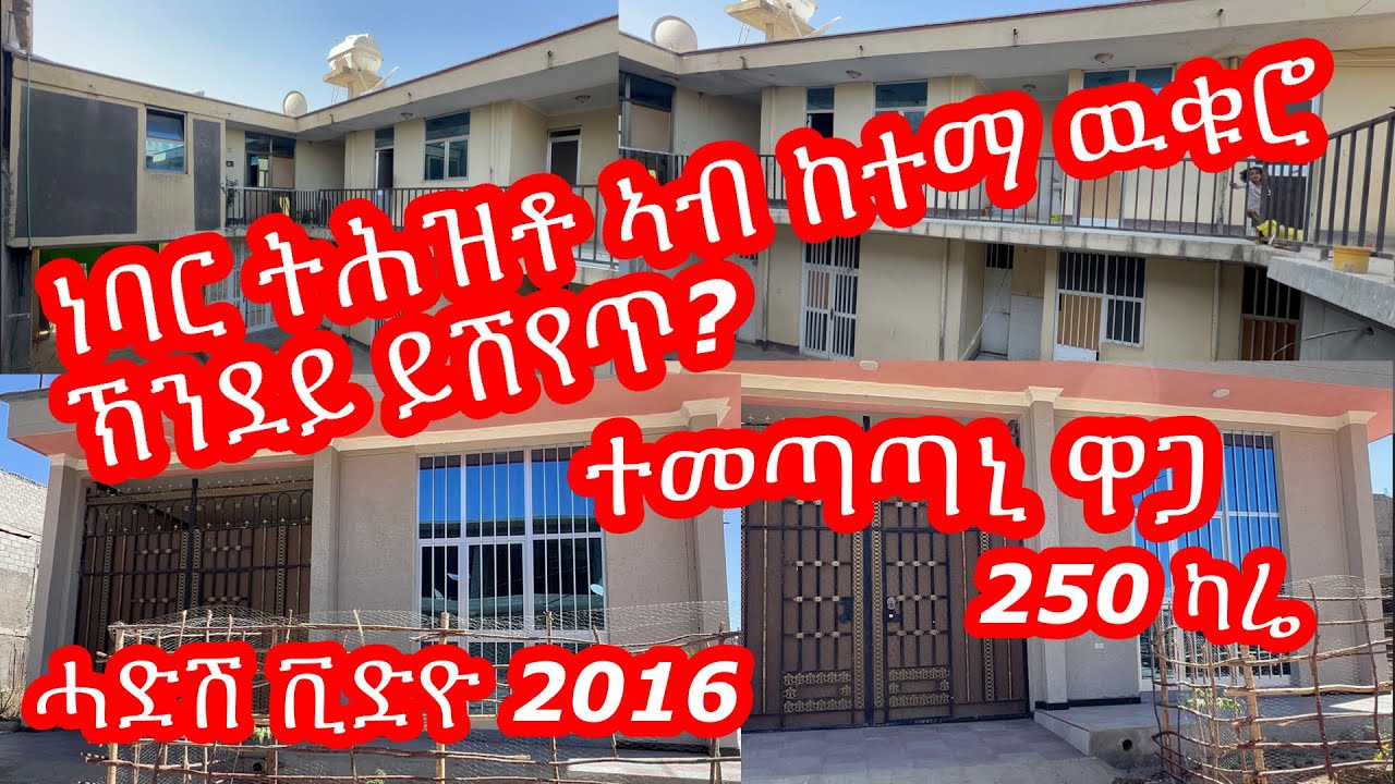 ነባር ትሕዝቶ ዝተሰርሐ ገዛ ክንደይ ይሽየጥ ኣብ ከተማ ዉቁሮ ናይ መሬት ዋጋ ክንደይ ኣሎ $ Money Making | MoneyMaking Online 2024