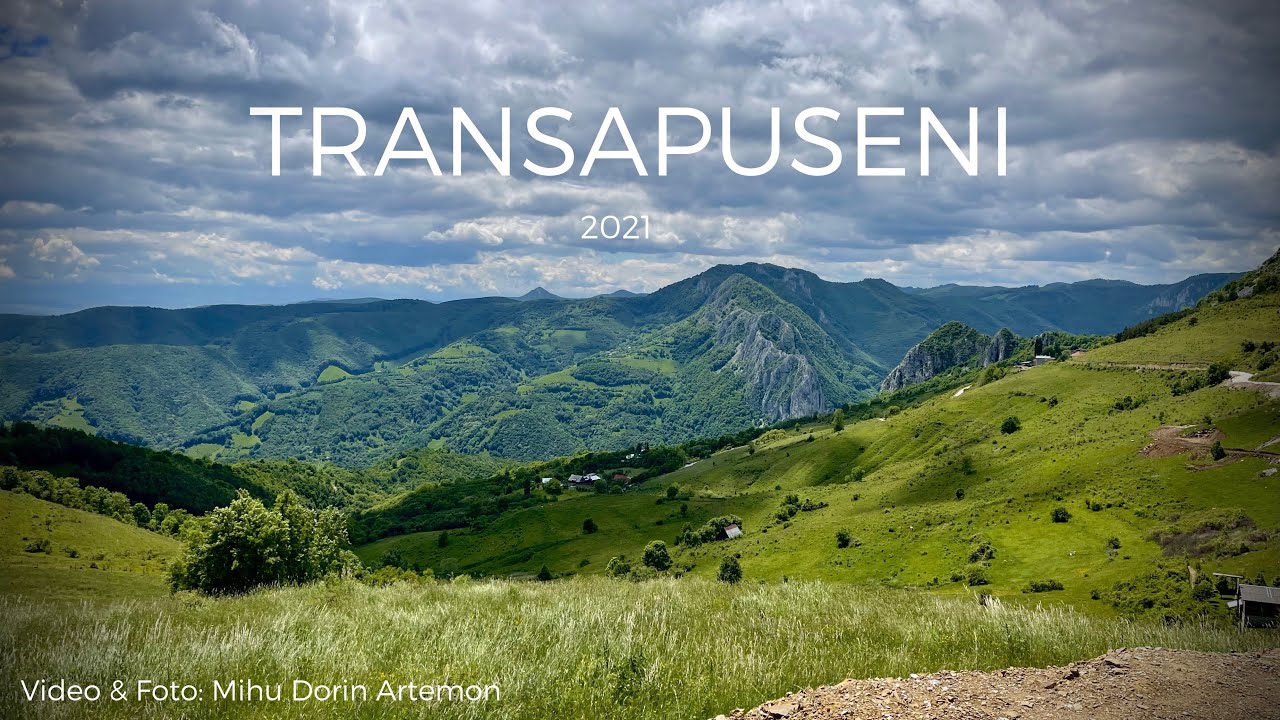 🌲 TRANSAPUSENI - 2021