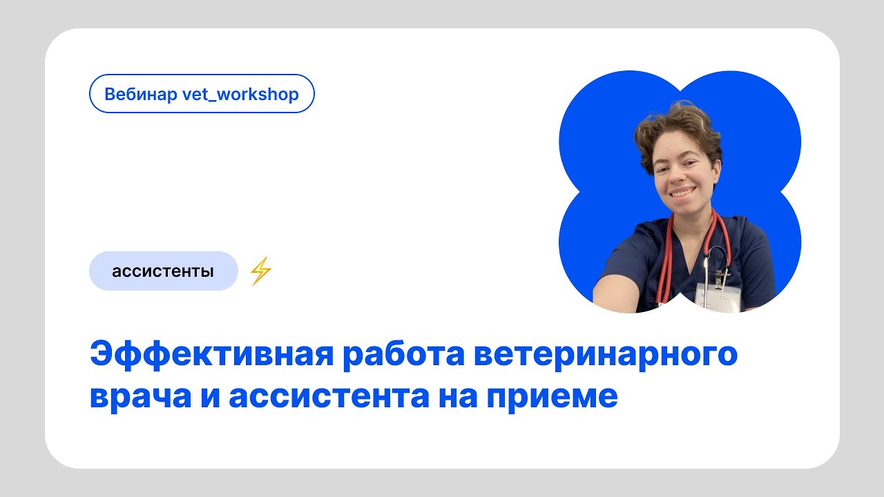 Эффективная работа ветеринарного врача и ассистента на приеме