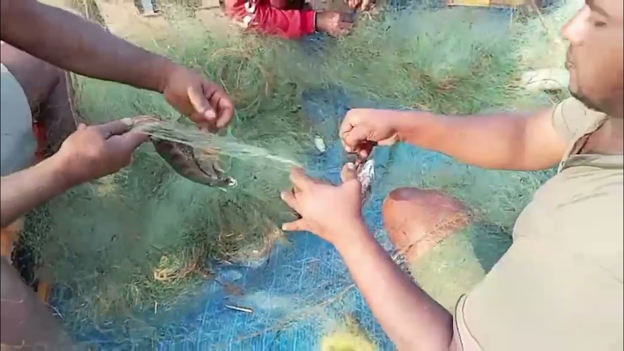 ഇതാണ് ഞങ്ങളുടെ ഒത്തൊരുമ 