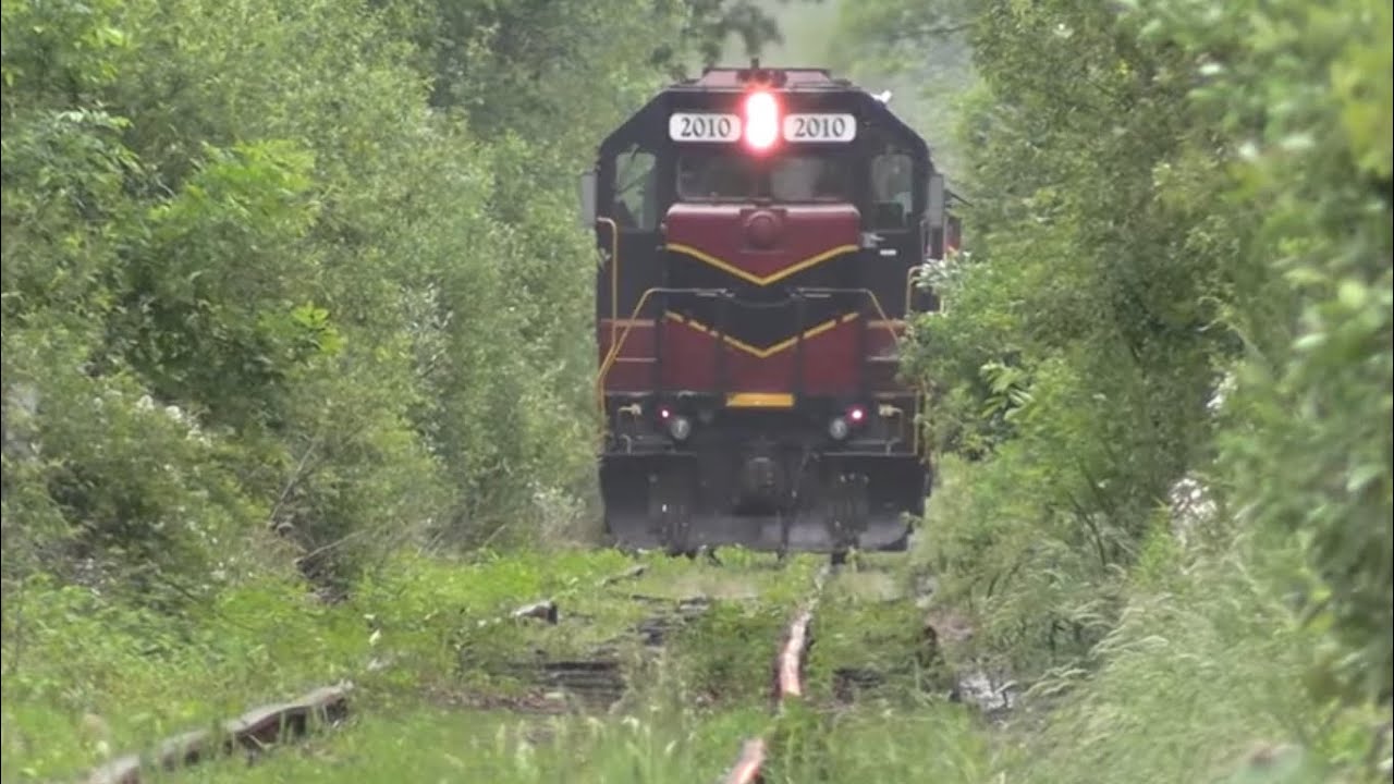 Rough, overgrown tracks on Mass Coastal Watuppa Branch - 6/2024