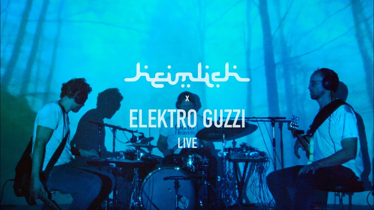 Elektro Guzzi Live - Heimlich Musik