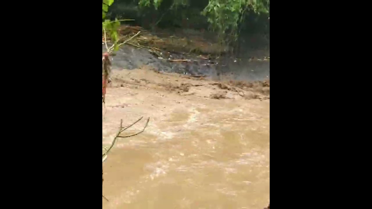 situwasi sungai ayung bongkasa, abiansemal, badung bali