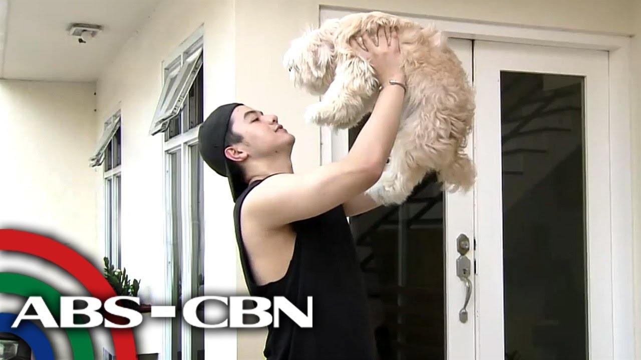 Shaira the dancing dog ni Hashtag CK | Rated K