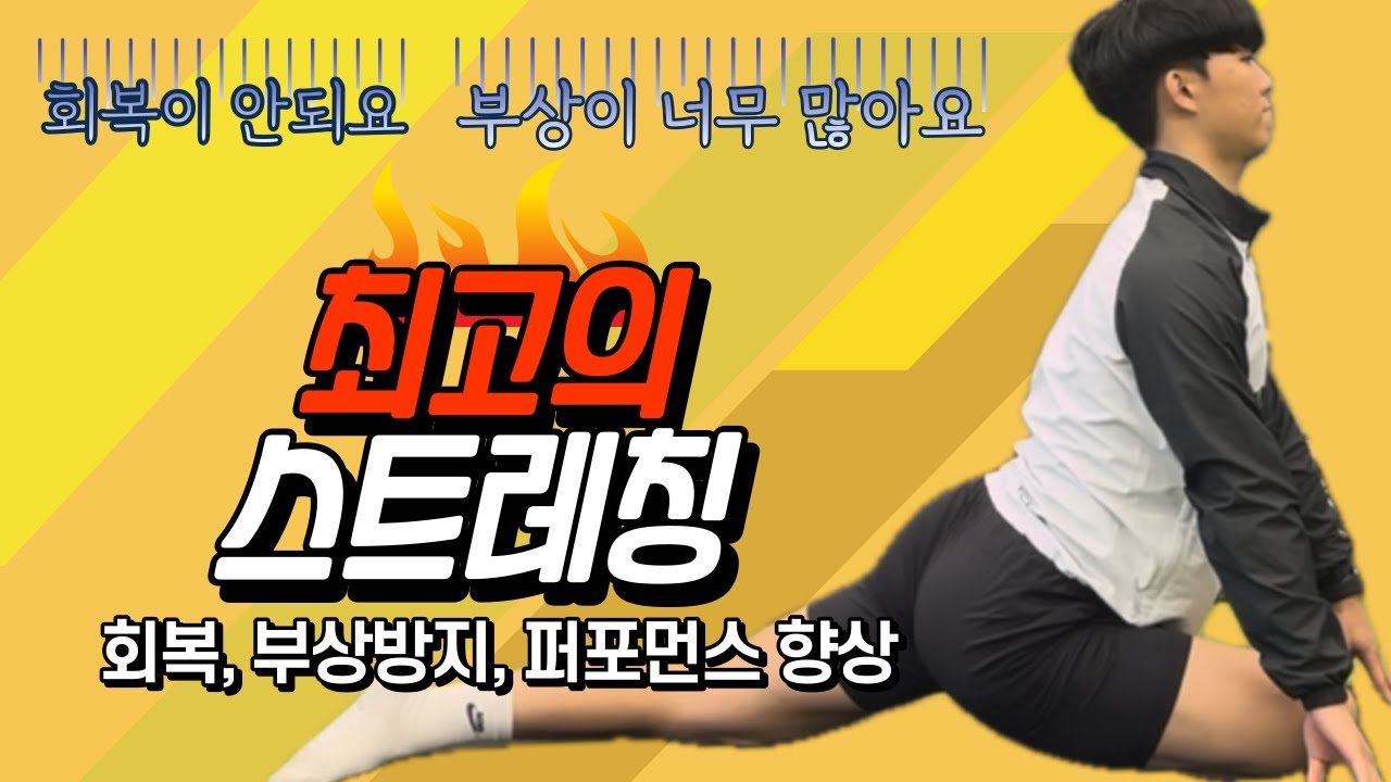 최고의 스트레칭!