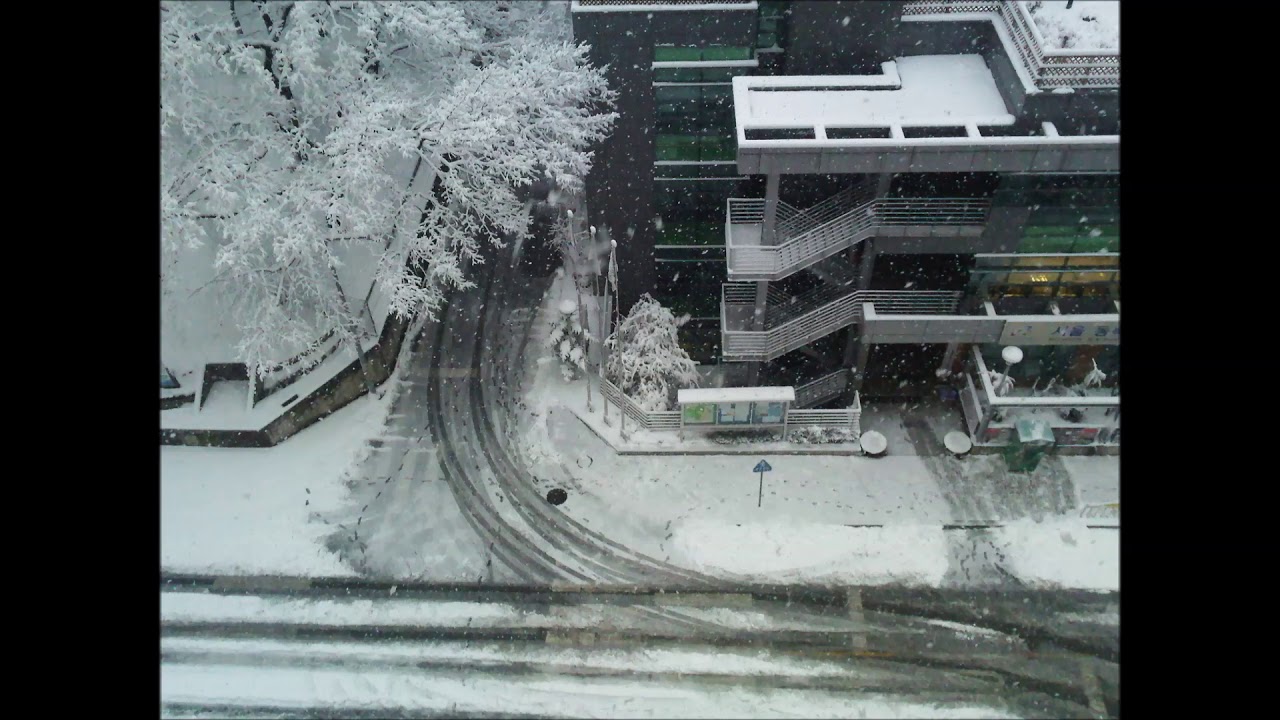 卿Mittens - As The Snow Falls