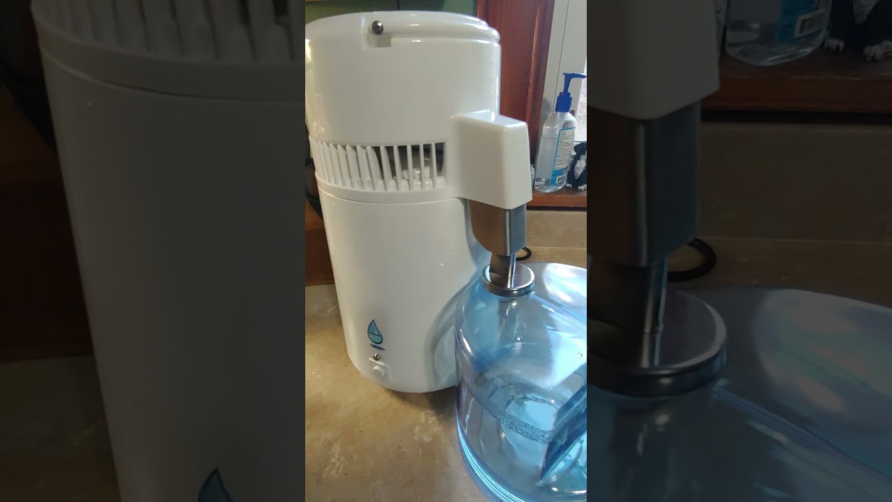 Making Rose Hydrosol (distilled rose water)