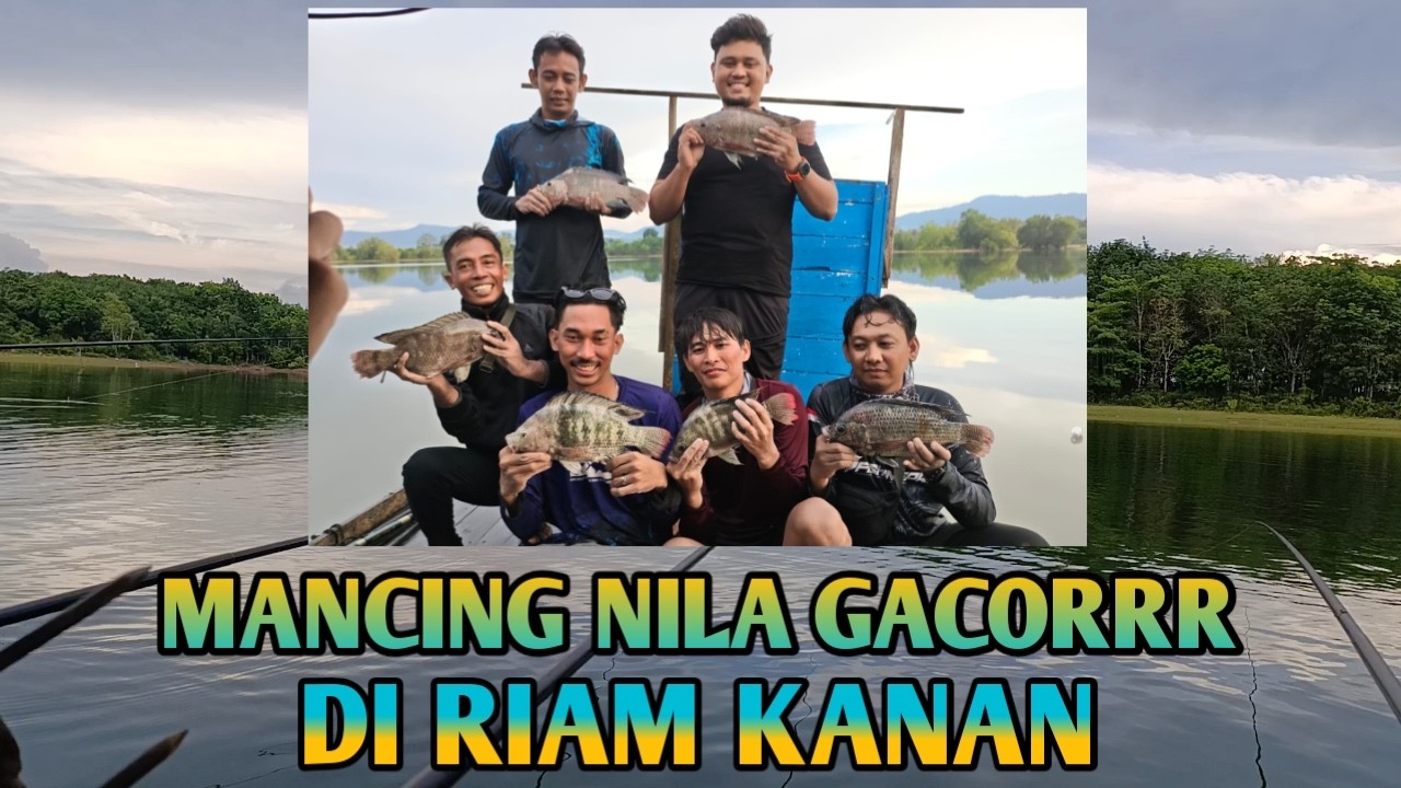 MANCING GACOR DI RIAM KANAN