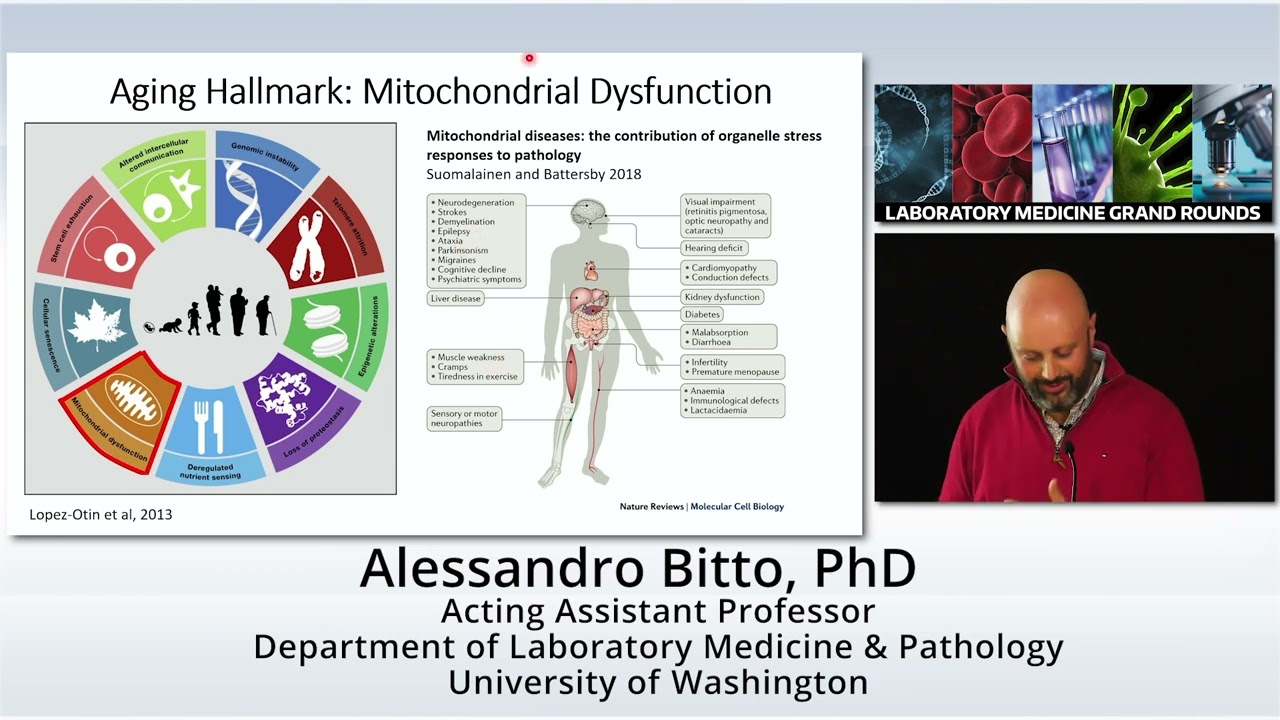Archive: Geroscience Approaches to Health: New Therapies for Mitochondrial Disorders