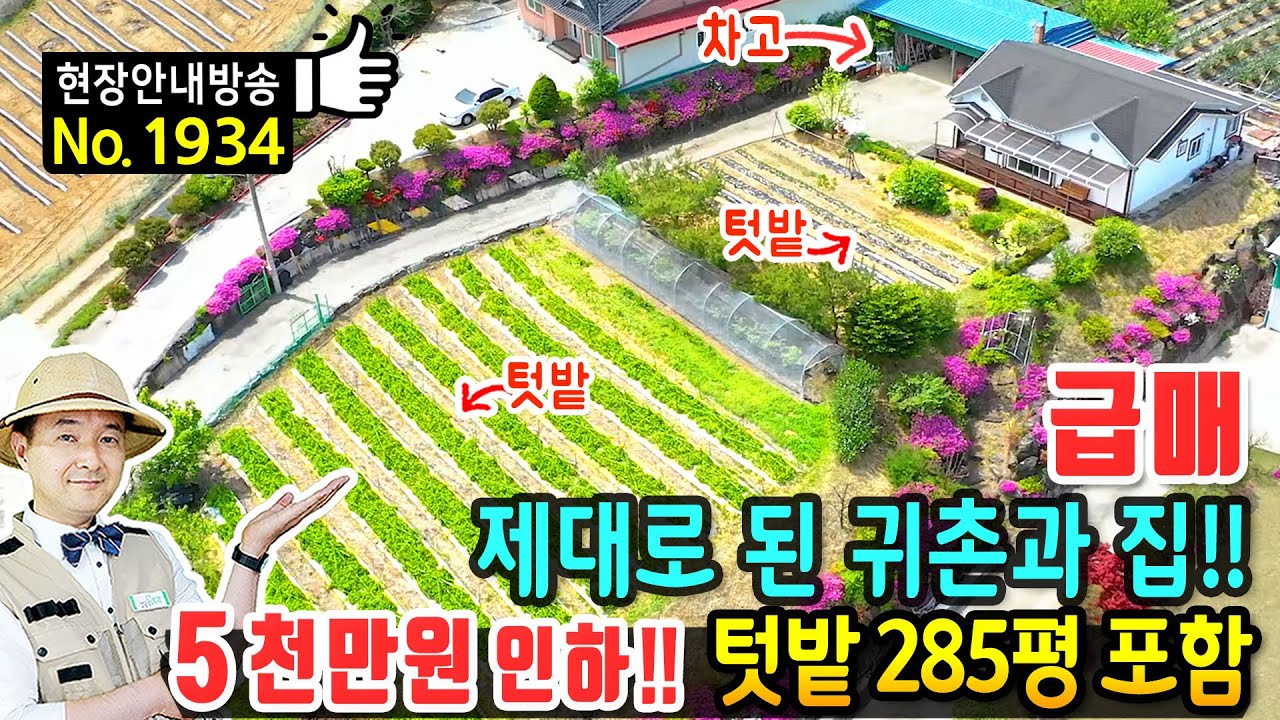 (초급매) 제대로 된 귀촌과 전원생활을 위한 집 전원주택 매매 급매물 전체 566평 중 텃밭 285평 다양한 작물재배 가능 아궁이 찜질방 창고 주차장 영동부동산 - 발품부동산TV
