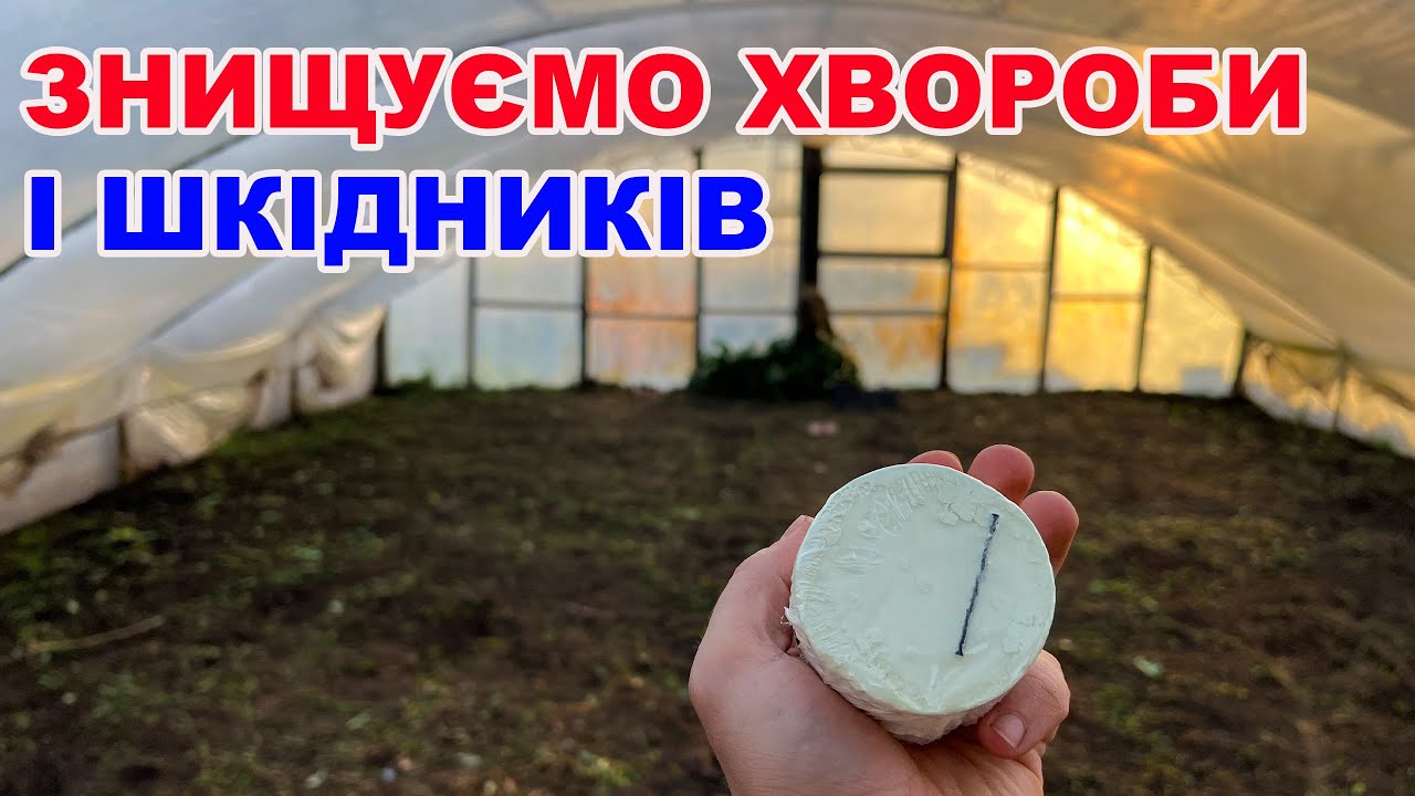 Дезінфекція теплиці і погреба від хвороб і шкідників