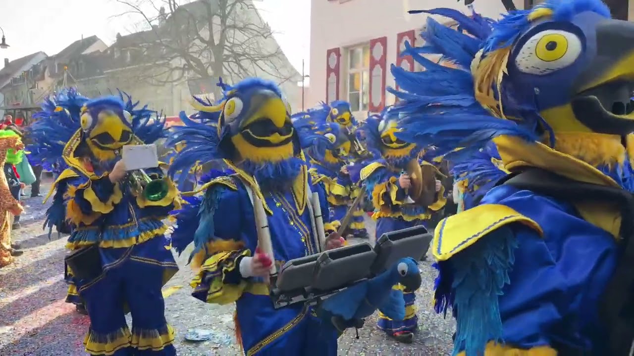 Fasnachtsumzug in Laufen 2025