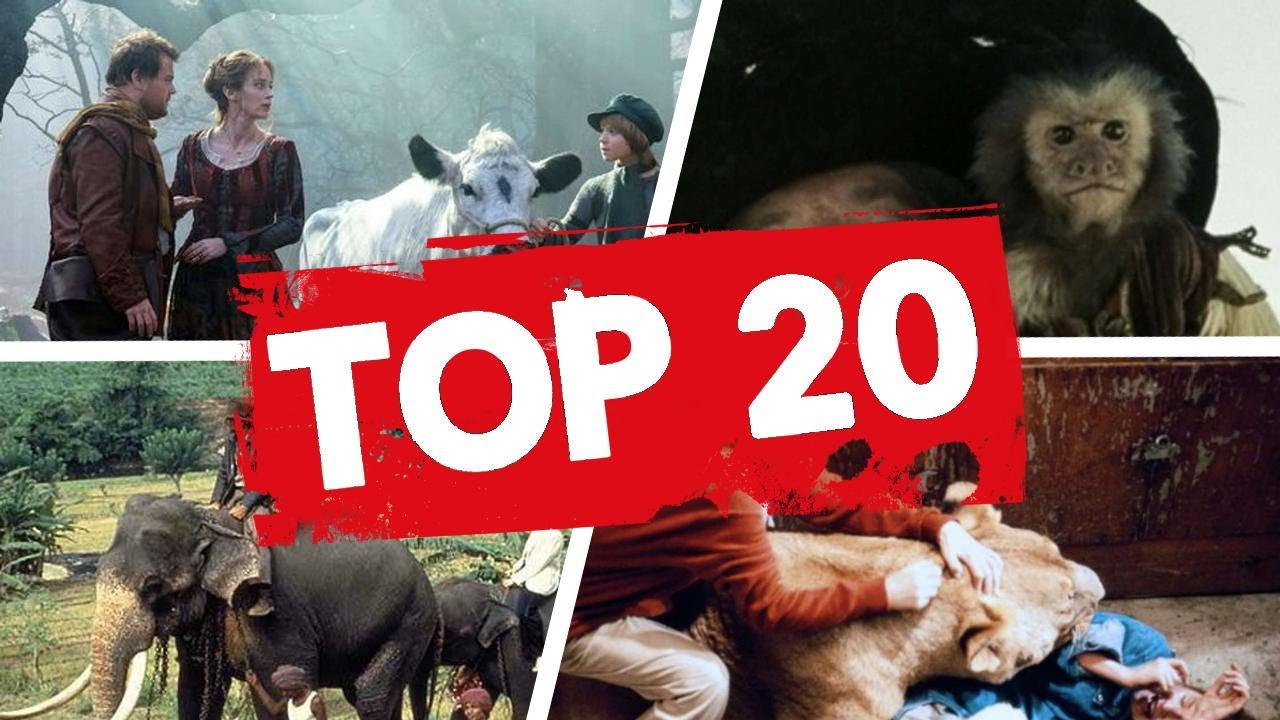 16 Animal Actors Who Were Difficult On Set ✅