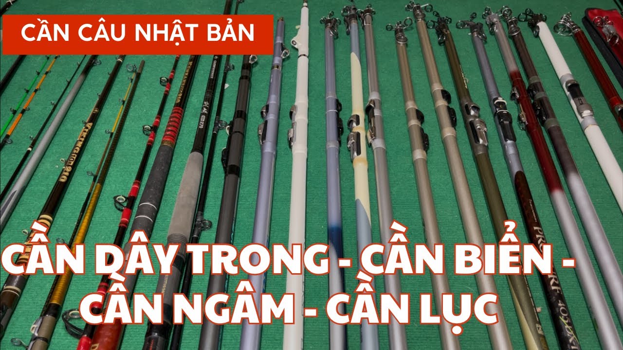 Cần Câu Nhật Bản : Cần Dây Trong, Cần Biển, Cần Câu Lục, Cần Bạc Bãi Biển - Video 985