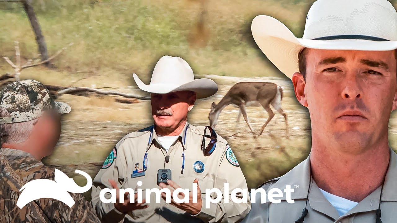 Oficiales investigan la caza de ciervos | Guardianes de Texas | Animal Planet