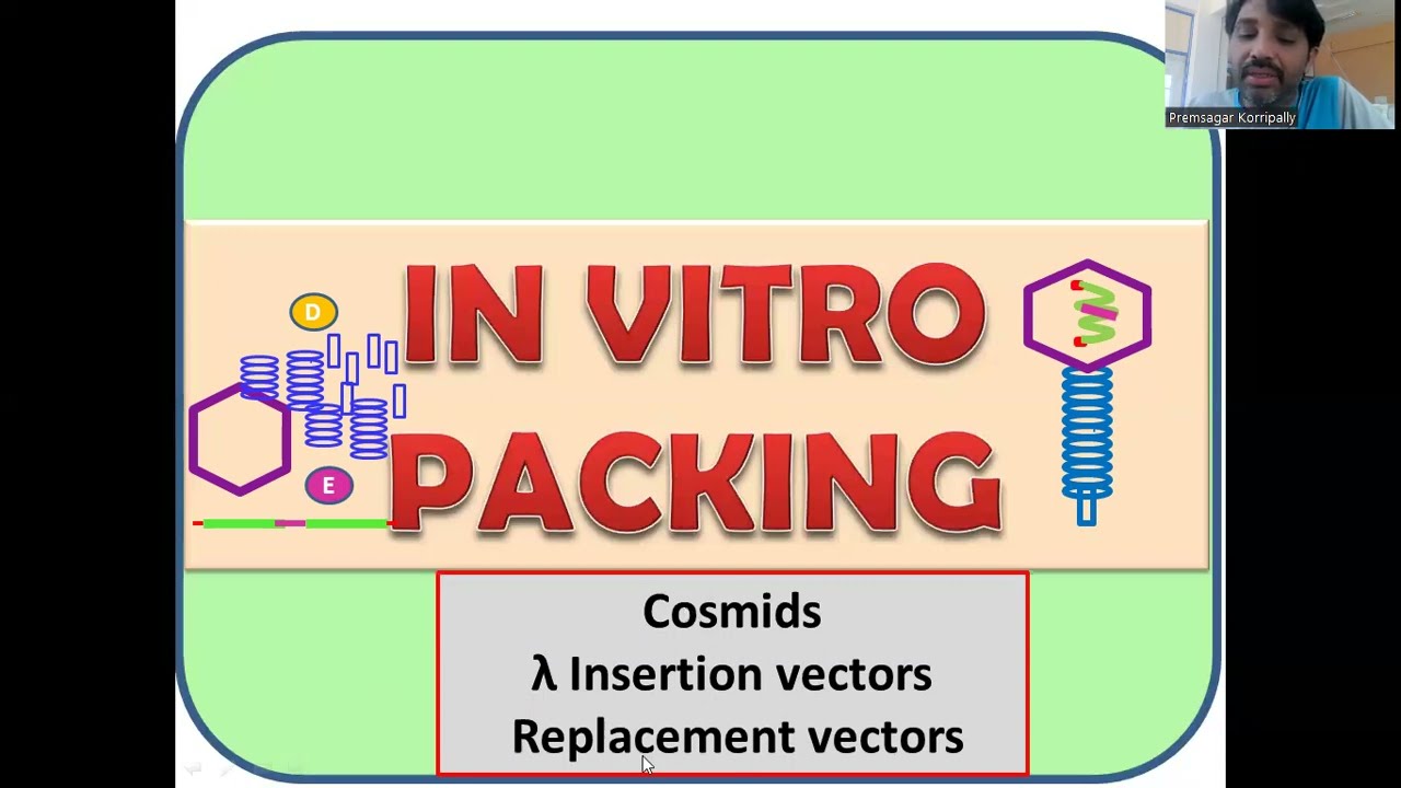 In Vitro Packing of Vector: Lamda Phage