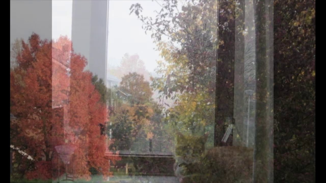 Last Leaves~Denise Marie