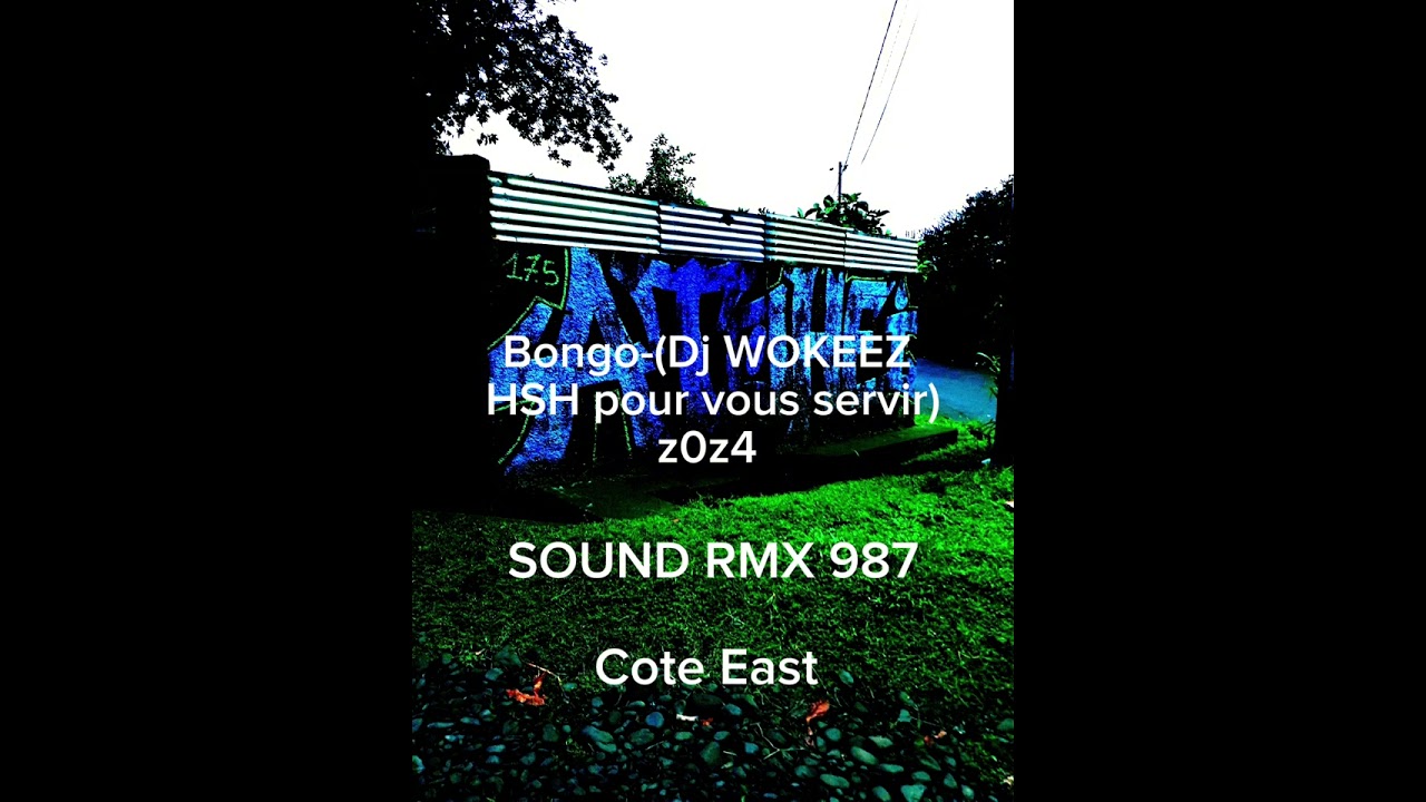 Bongo-(Dj WOKEEZ HSH pour vous servir)Z0Z4