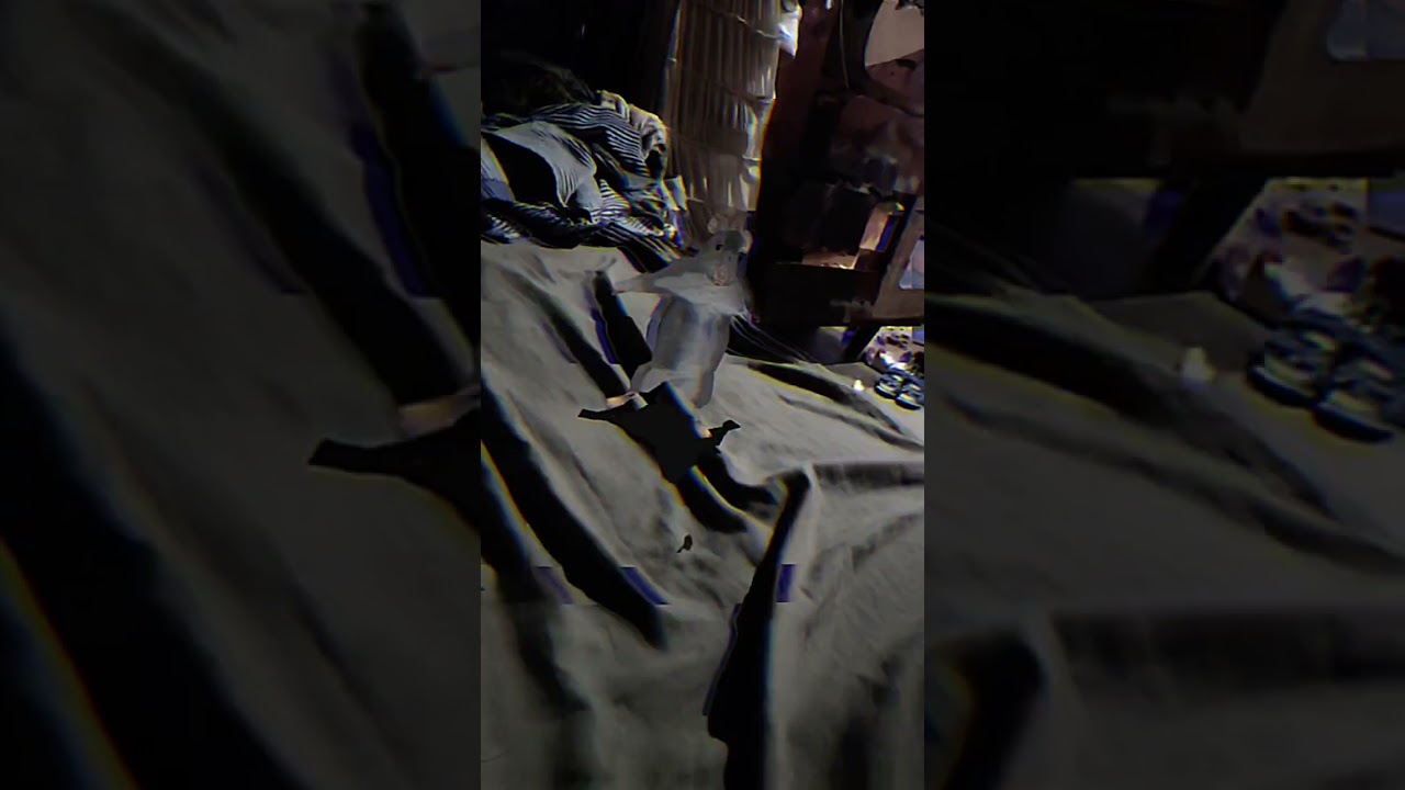 #raydance #edit