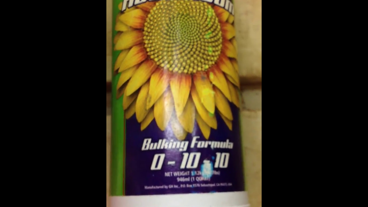 Mr. P. ShareGrows Clone, nutrients, babies and Mama's