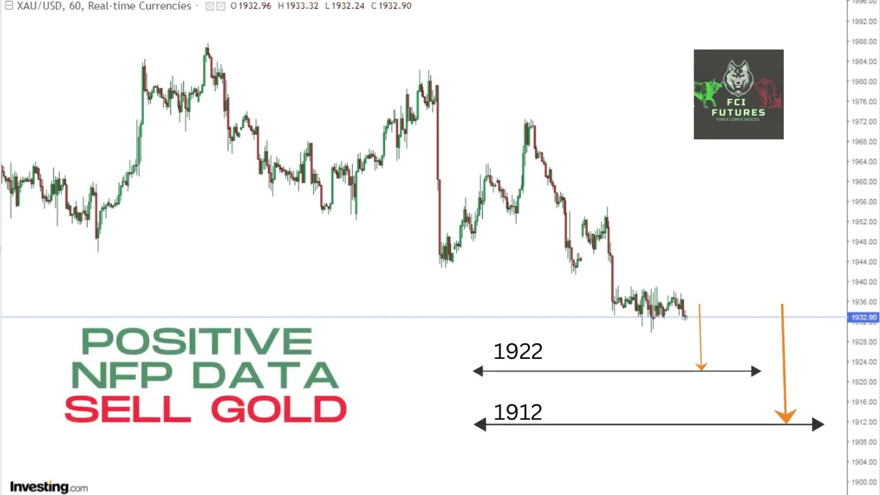 A Complete Guide for NON FARM PAYROLL DATA (NFP DATA) How to trade in FOREX and COMEX ?