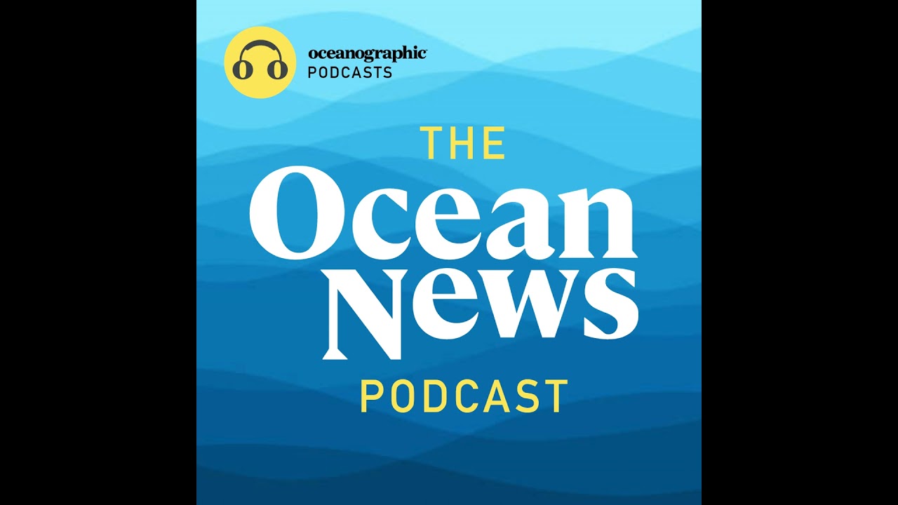 Biodiversity Loss: A National SECURITY CRISIS - the Ocean News Podcast