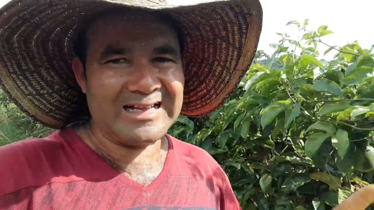 ¿Es recomendable mezclar fungicidas con insecticidas para aplicar a los cultivos?