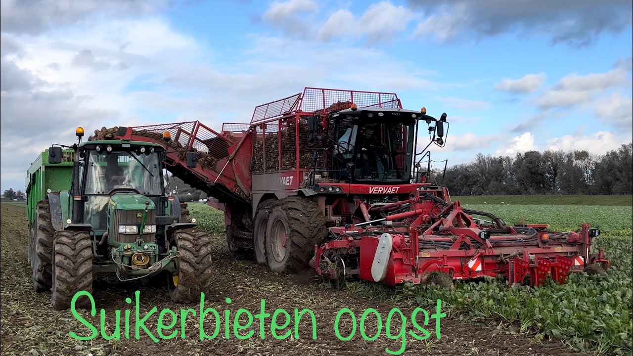 Suikerbietenoogst / Bietenrooier / Sugar Beet Harvest / Bieten rooien / Zuckerruben ernten.