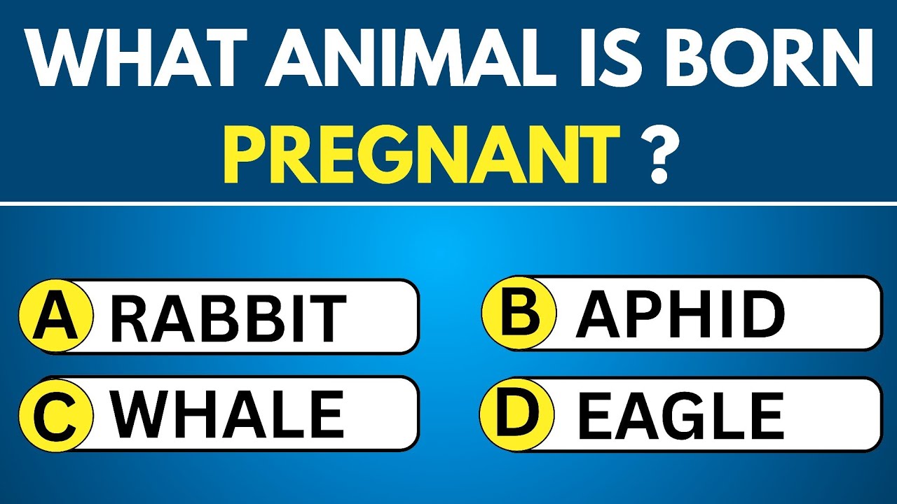 Your Brain Is Sharp If You Score 20 Out Of 30 On This General Knowledge Test 🧠