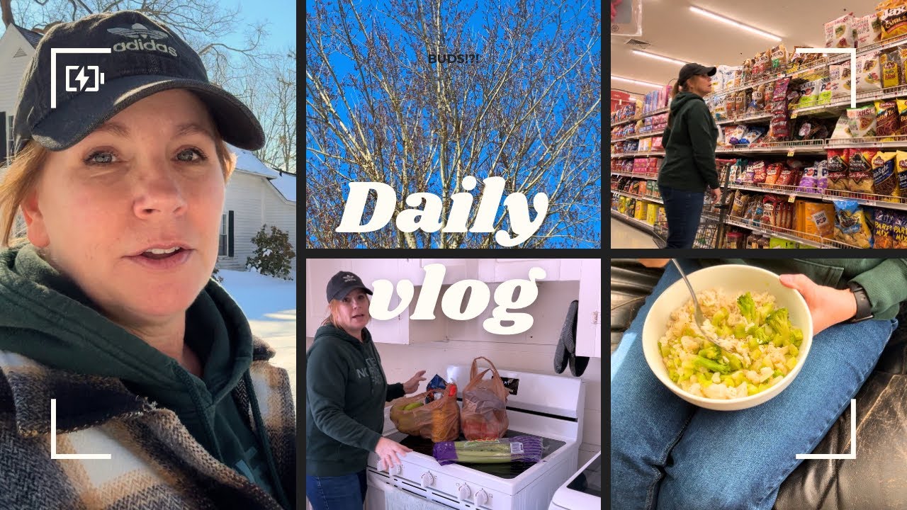 First walk after the New England Blizzard • grocery shop • finished the puzzle 🧩 