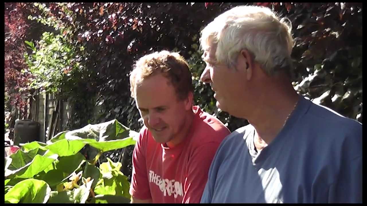 Tales from Terry's Allotment September 2011