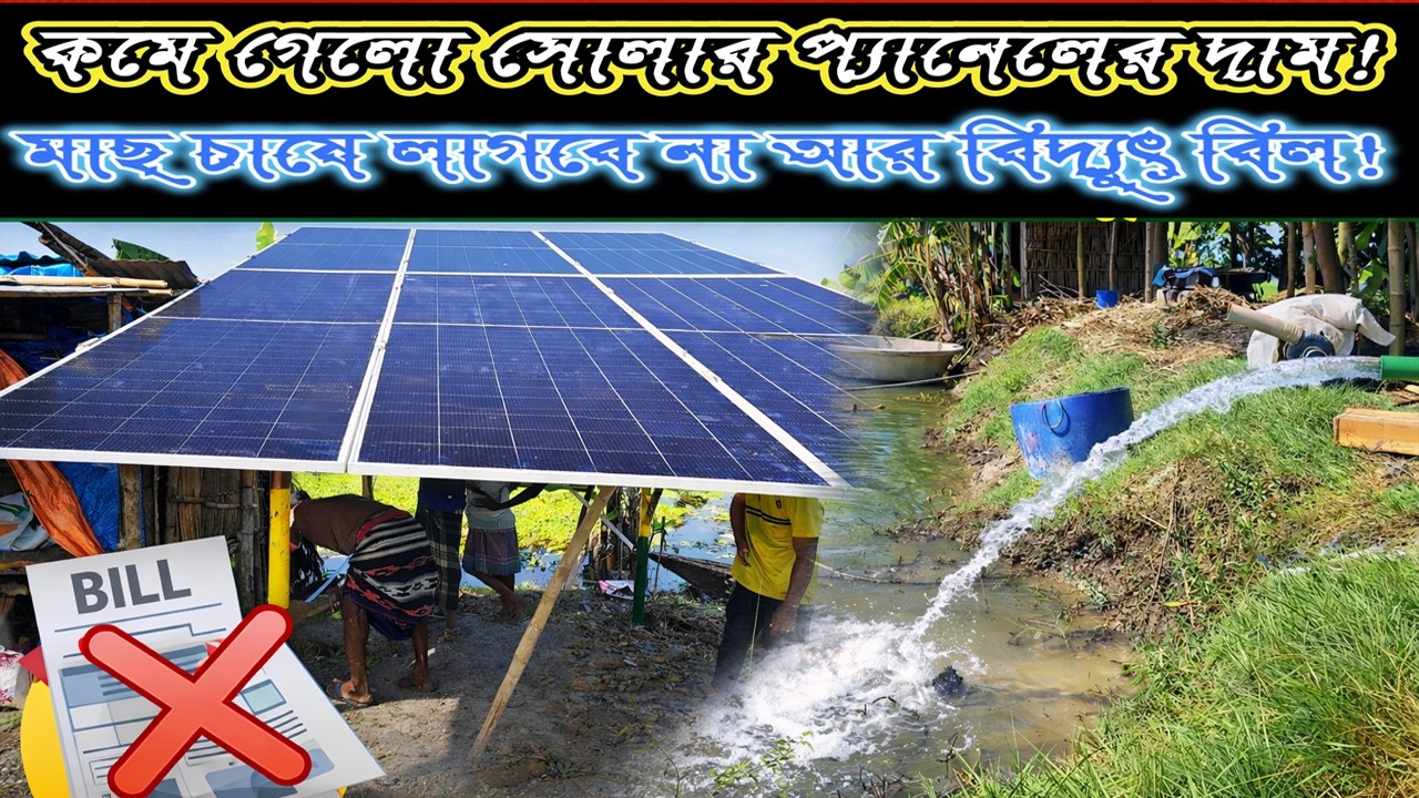 মাছ চাষে বিদ্যুৎ বিল নাই! #submersible_pump #sesunpower #farming #solarpump #agriculture #bd