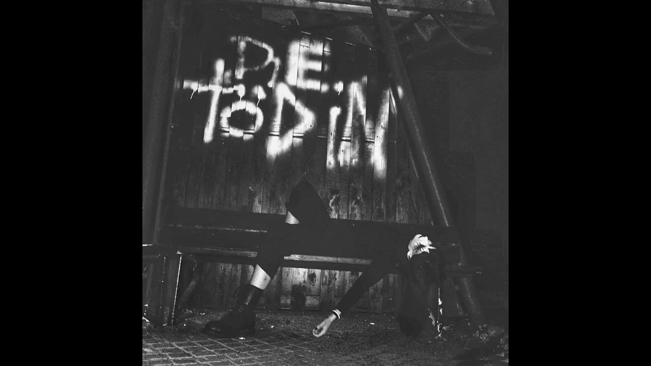 Die Tödin - Angepasste Spießerschweine