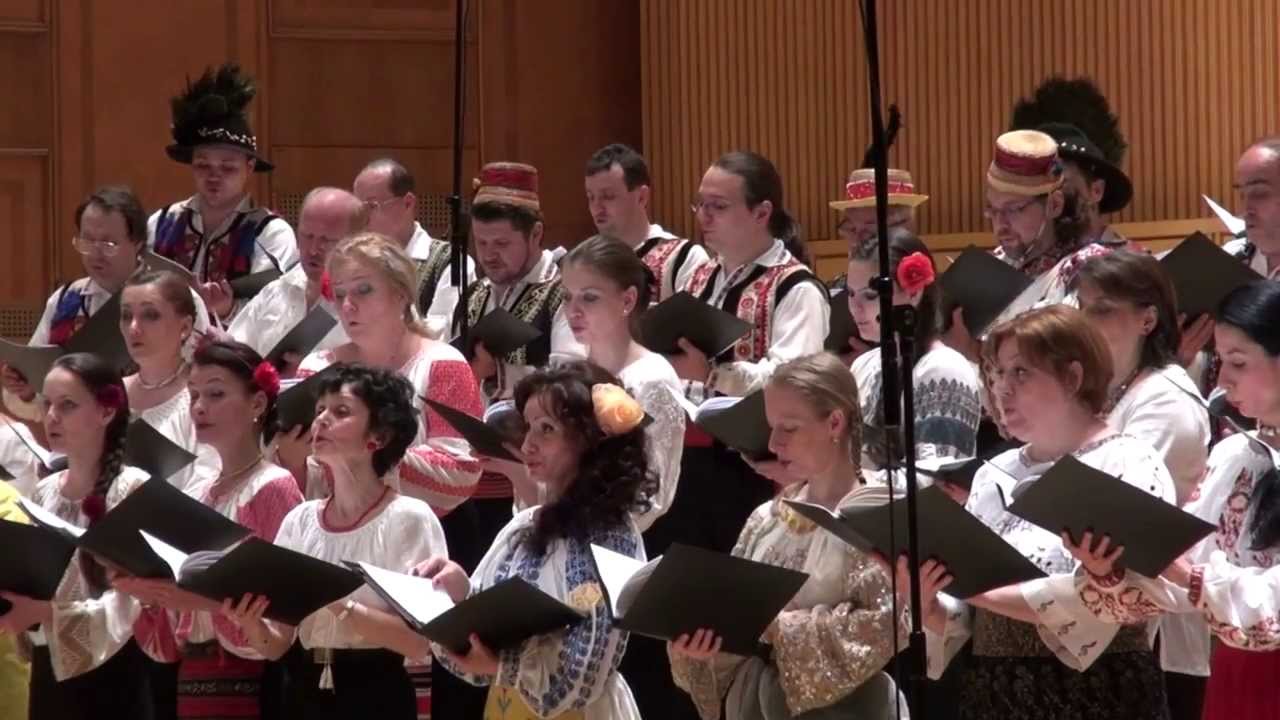 Dariu POP - Suita din Tara Oasului
