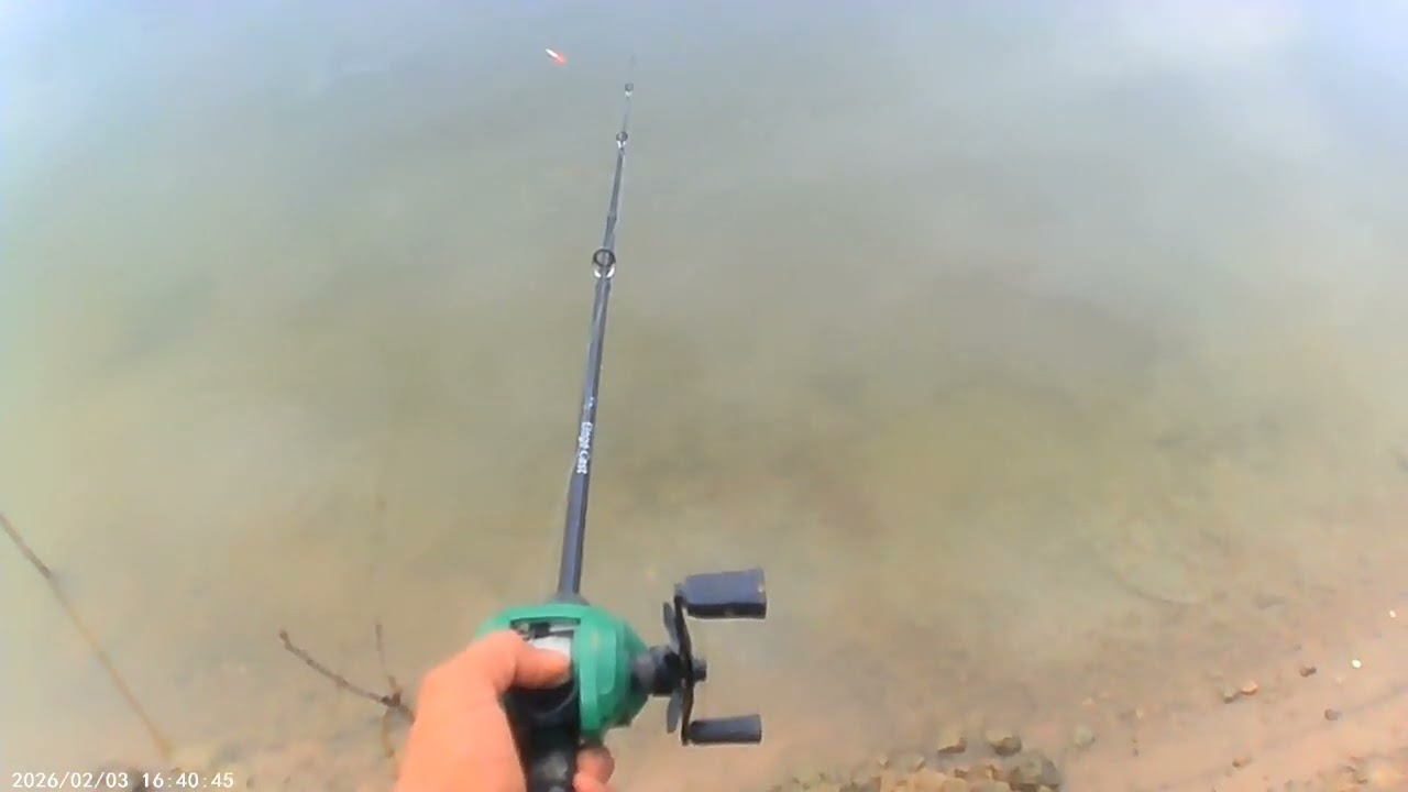 Pescaria na represa de Mauá saio os Brutos #pescaria #pesca #tilapia #fishing #paraná 