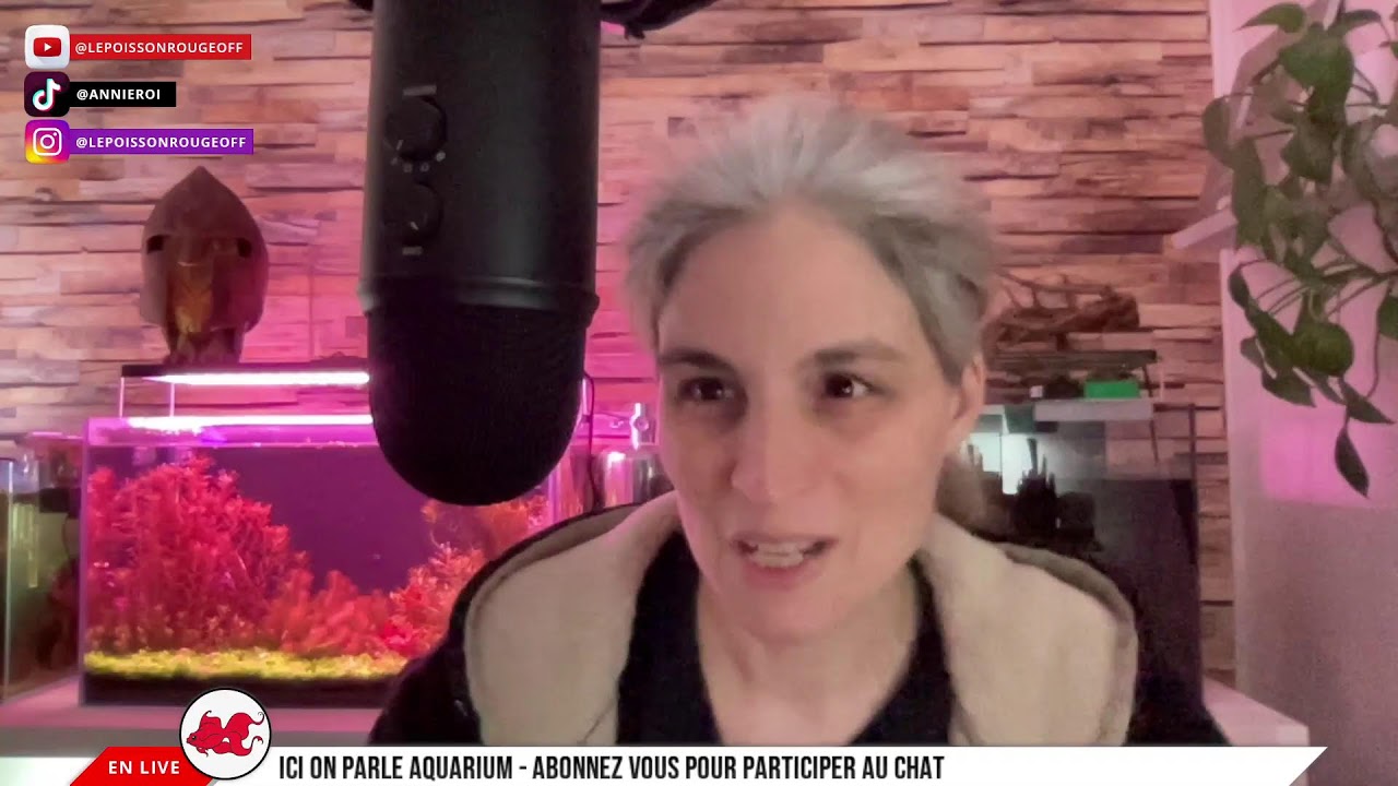 [REPLAY] Aquastream F&eacute;vrier 2026