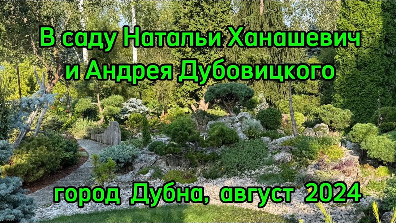 В саду Натальи Ханашевич и Андрея Дубовицкого. Город Дубна, август 2024