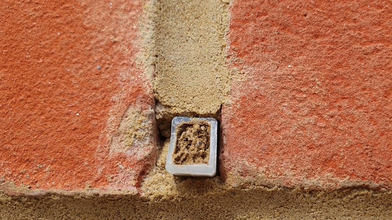 Blocked and Fake Weep Holes - Our Bovis Home