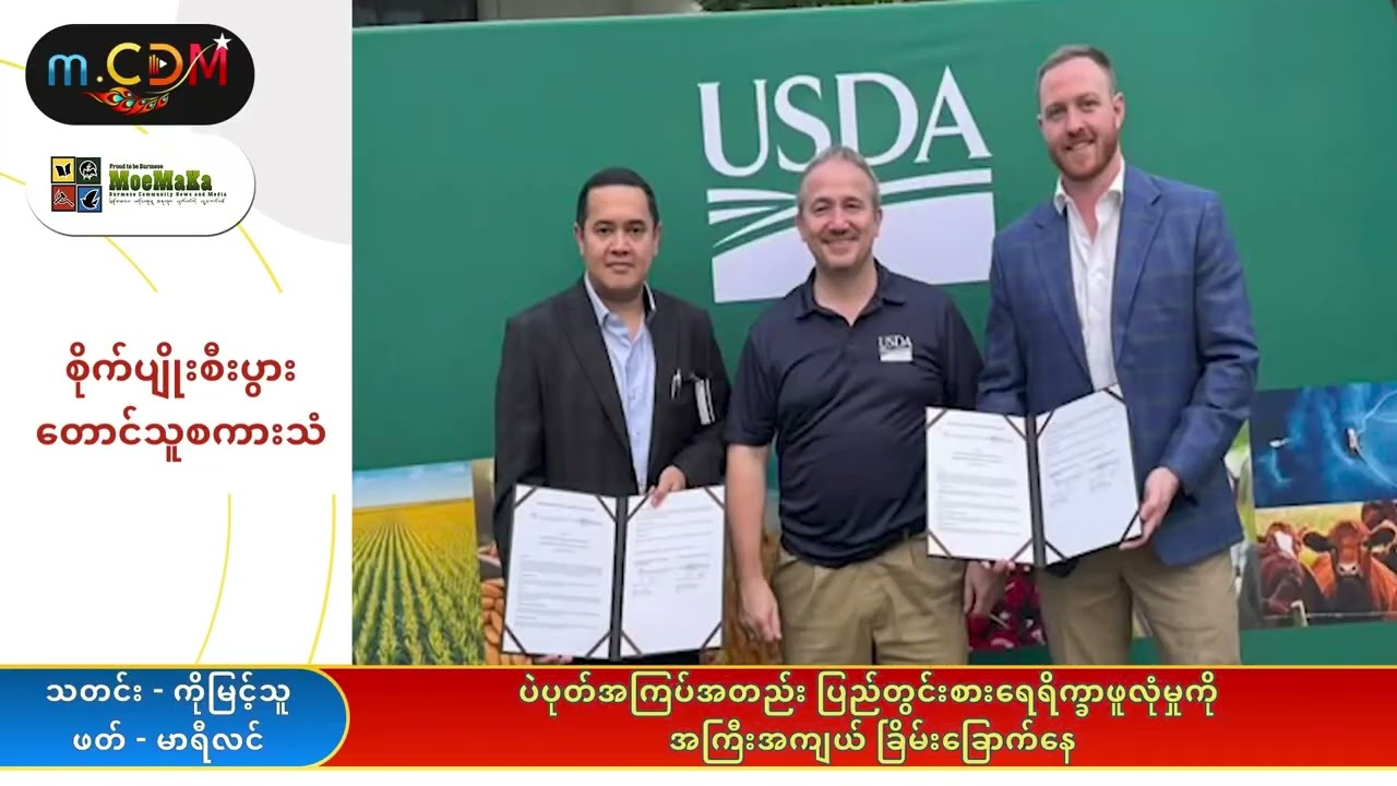 ပဲပုတ်အကြပ်တည်း ပြည်တွင်းစားရေရိက္ခာဖူလုံမှုကို အကြီးအကျယ်ခြိမ်းခြောက်နေ