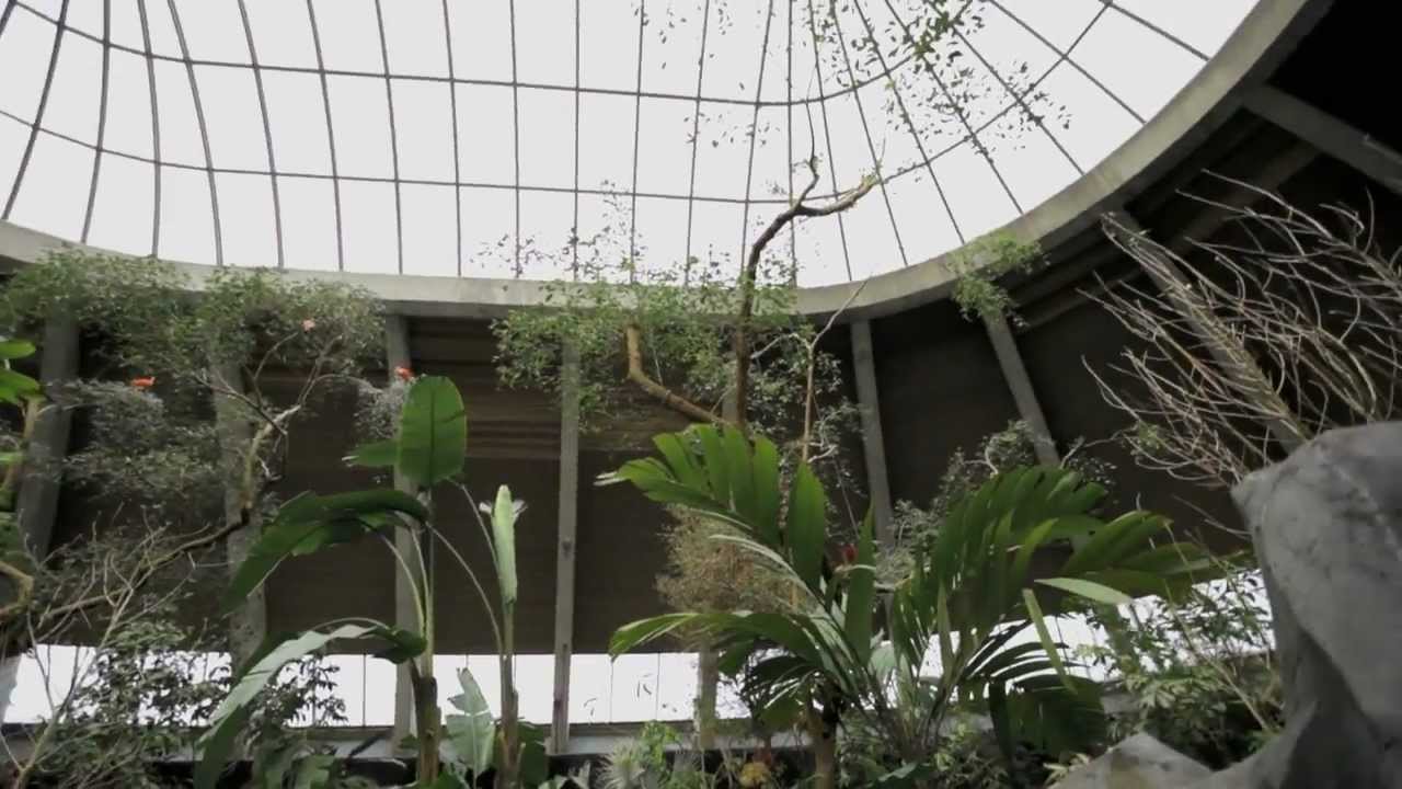 Toucan Ridge | Assiniboine Zoo, Winnipeg