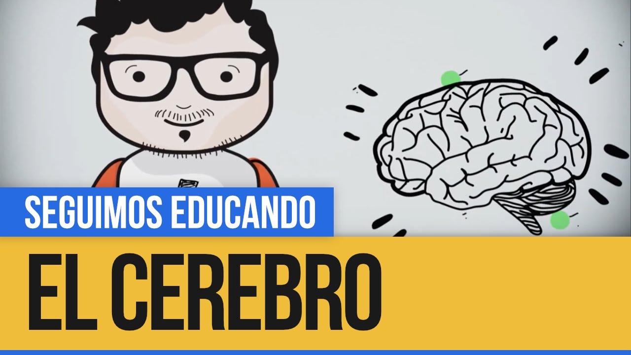 ¿Neuro qué?: El cerebro - Seguimos Educando