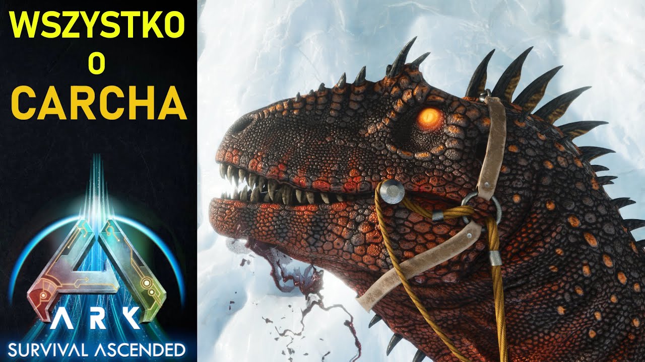 ARK: Wszystko o Carcharodontosaurus Poradnik PL | ARK Survival Ascended, ARK Survival Evolved.