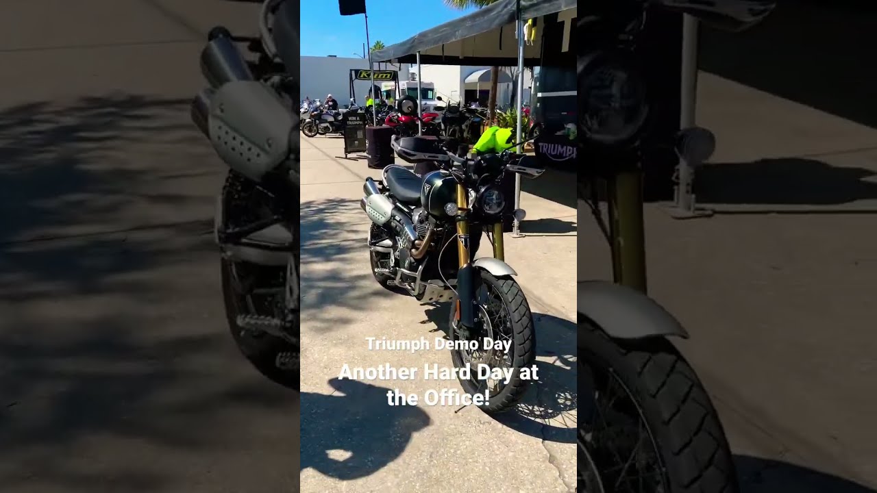 Triumph Demo Day #triumph #demo #motorcycle #biketoberfest #reels #shorts #trending #bike #caferacer
