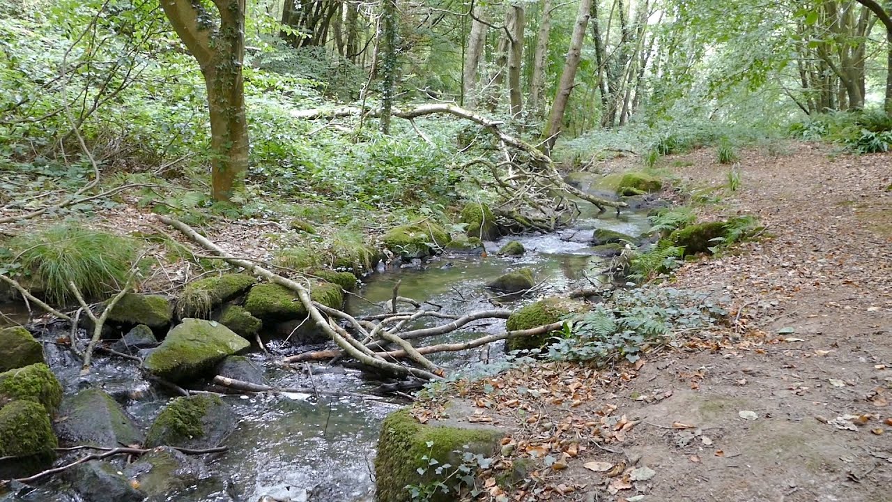 La Vallée des Moulins