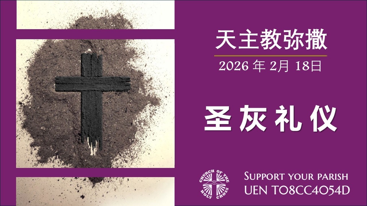 直 播 圣 灰 礼 仪 华 语 弥 撒 萧 永 伦 神 父 主 祭  2026年 2月 18日