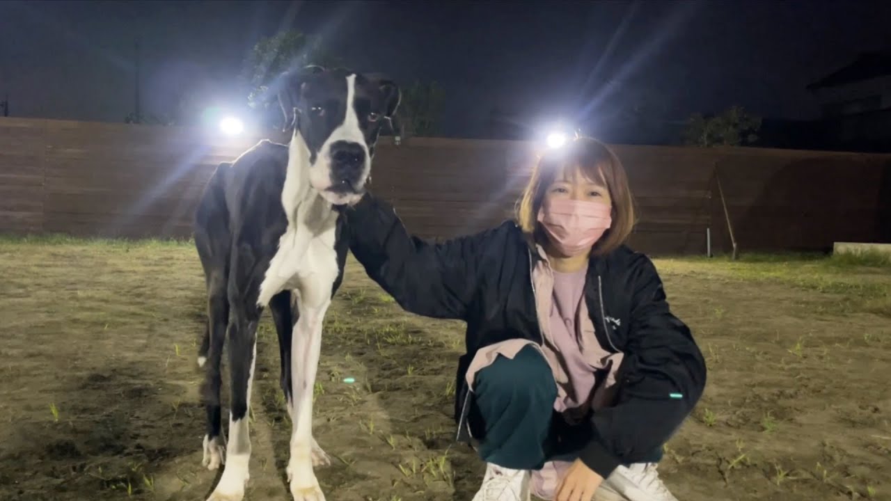 カルア君もあにまるずの仲間達と一緒にお庭で楽しく遊びました！